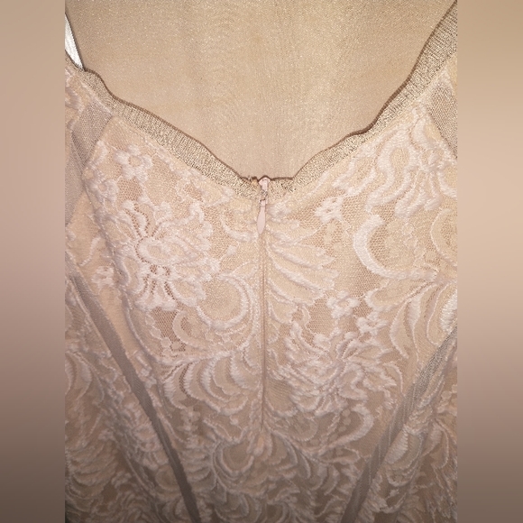 Women's Aqua beige illusion inset lace gown - Picture 13 of 14